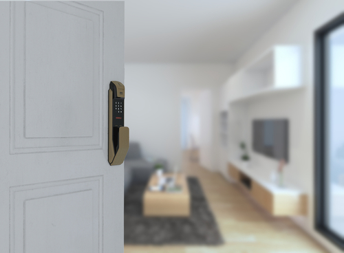 Things to Know Before Replacing Door Locks